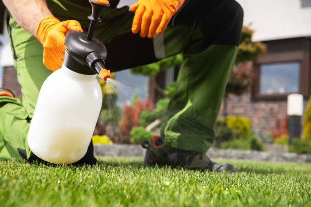 Best Pest Prevention Services  in Plains, TX